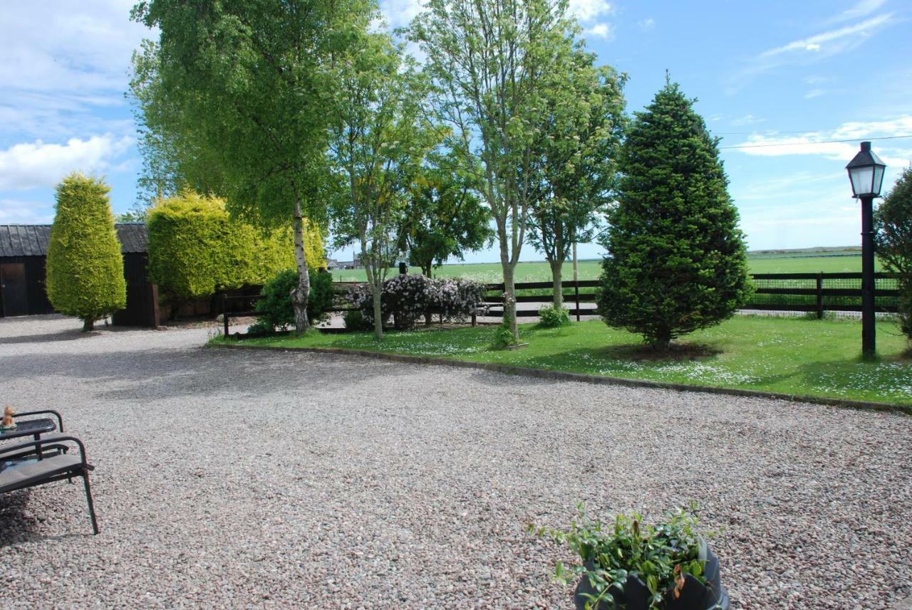 Eskview Farm Bed & Breakfast Montrose Dış mekan fotoğraf