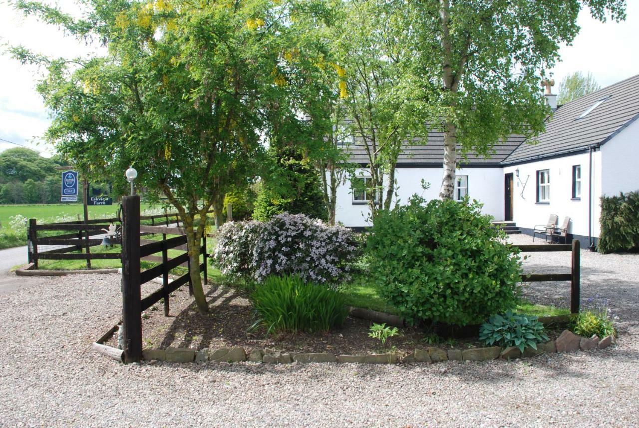Eskview Farm Bed & Breakfast Montrose Dış mekan fotoğraf